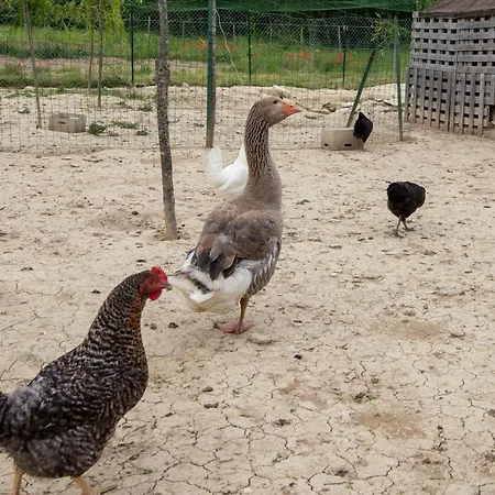 Vakantieboerderij Casale Rancaglia Gubbio