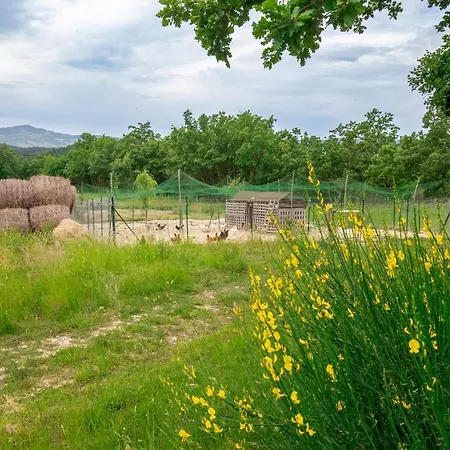 Casale Rancaglia غوبيو