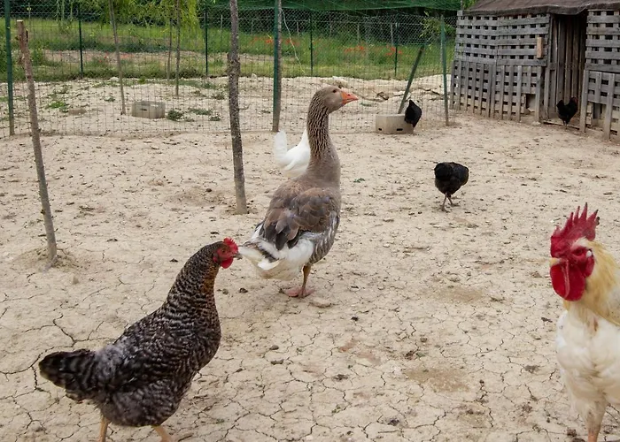 Vakantieboerderij Casale Rancaglia Gubbio